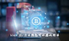 biao ti/什么钱包可以存比特