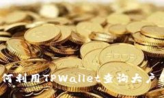 : 如何利用TPWallet查询大户